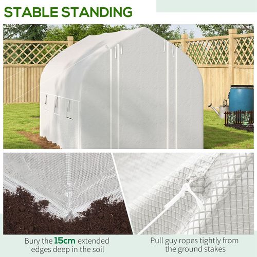 3 x 2m Polytunnel Greenhouse with Roll Up Sidewalls, Mesh Door, Plant Labels