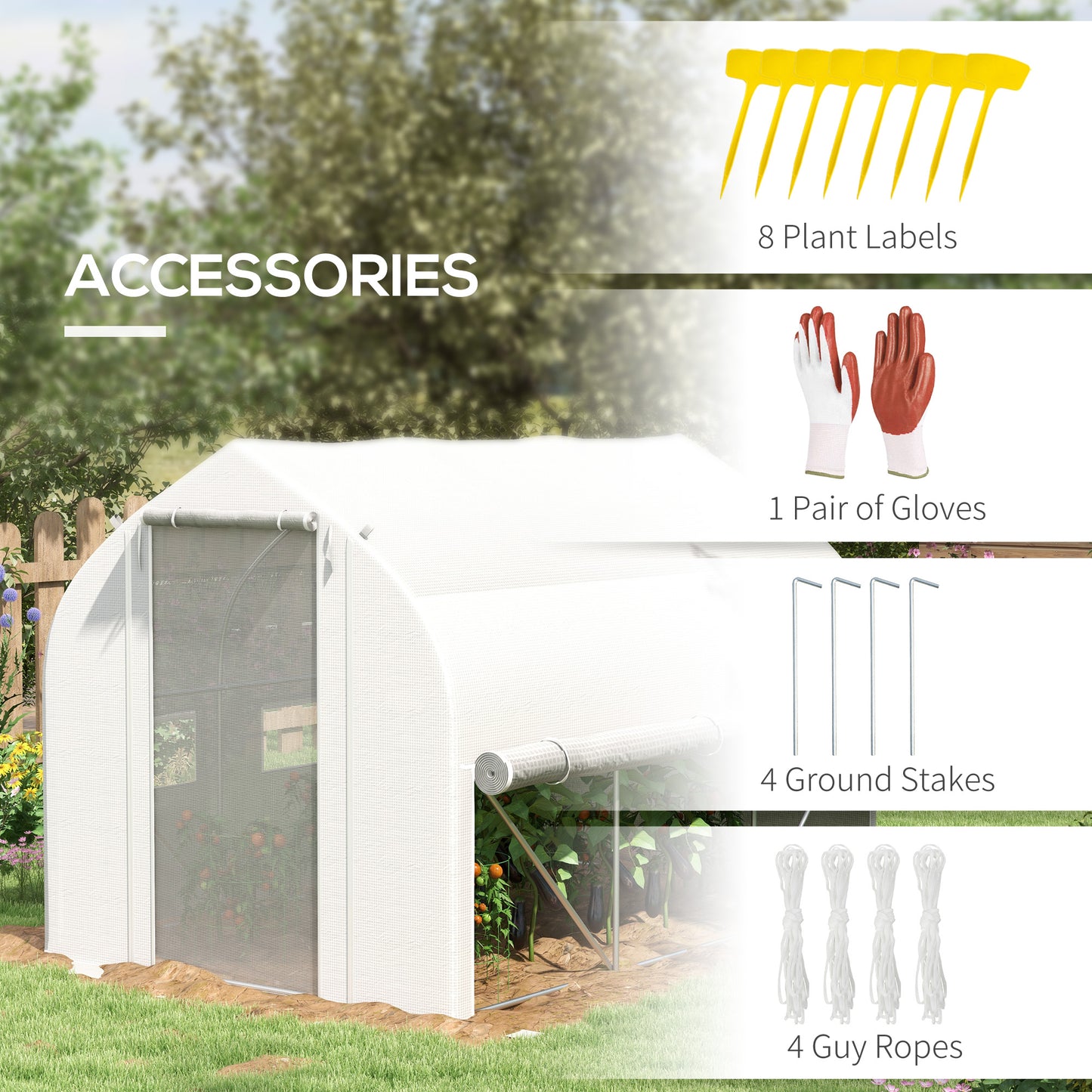3 x 2m Polytunnel Greenhouse with Roll Up Sidewalls, Mesh Door, Plant Labels