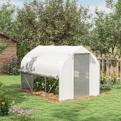 3 x 2m Polytunnel Greenhouse with Roll Up Sidewalls, Mesh Door, Plant Labels